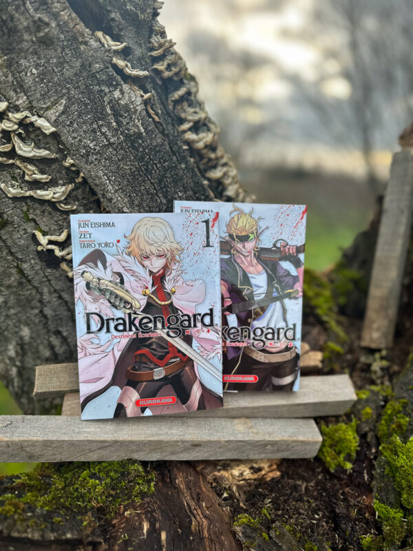 photo manga drakengard